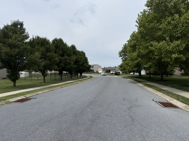 Tree-lined residential street with sidewalks in Newburg Village Newmanstown PA.